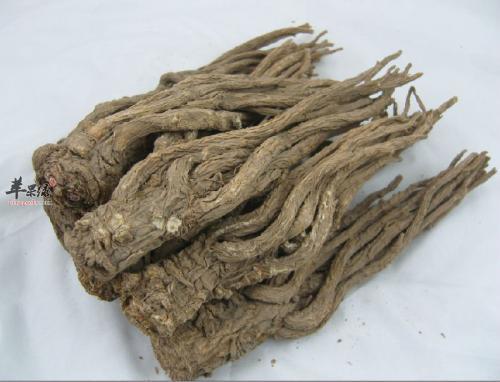 鸾凤当归,归心似箭——探寻鸾凤当归的传奇故事